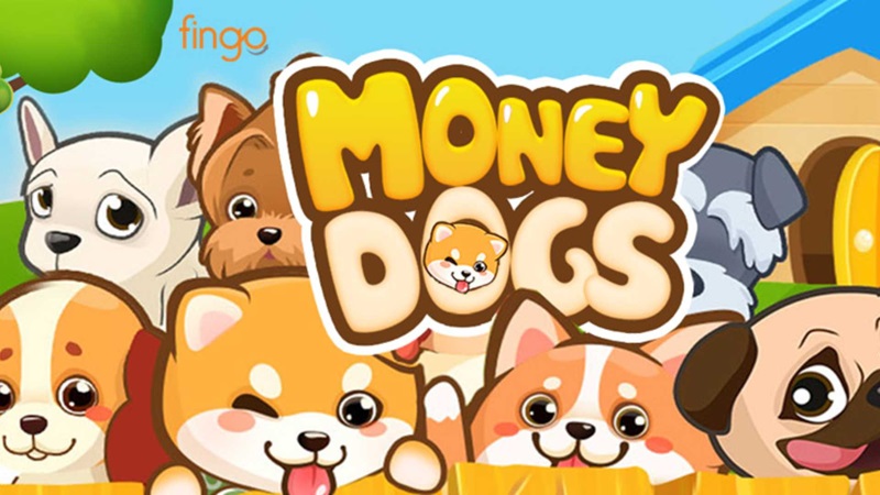 money dog