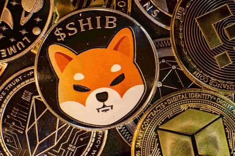 đồng coin shiba inu