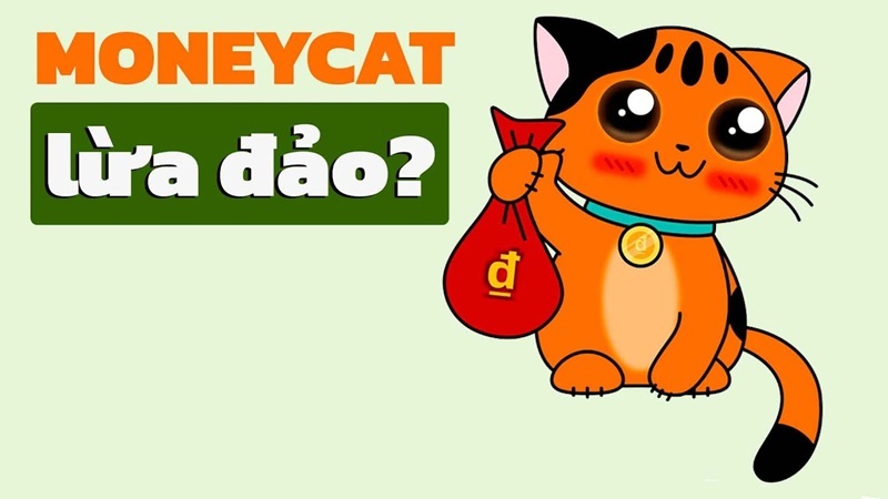 money lừa đảo