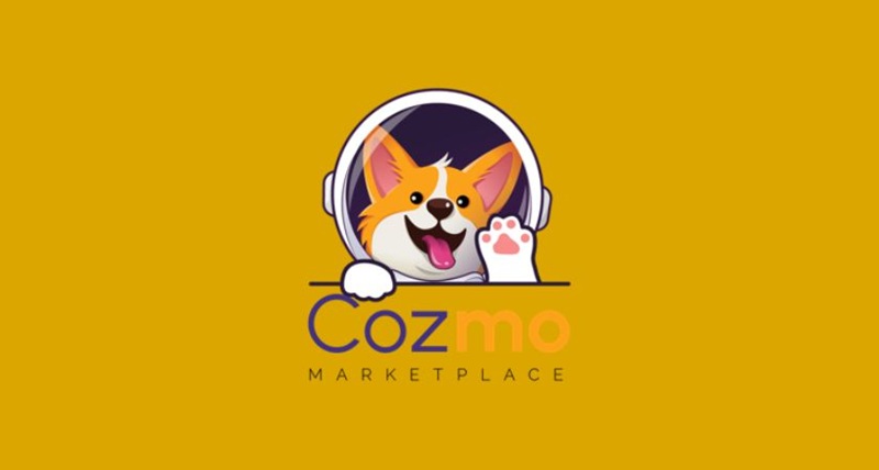 vay cozmo money