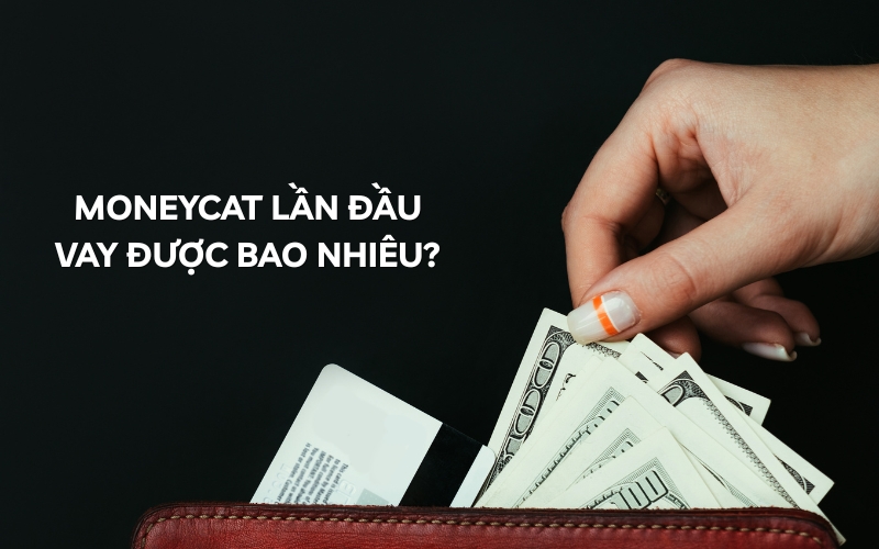moneycat lần đầu vay được bao nhiêu