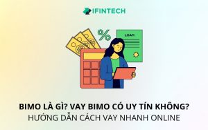 vay bimo