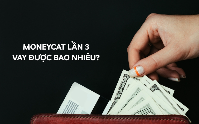 moneycat vay lần 3
