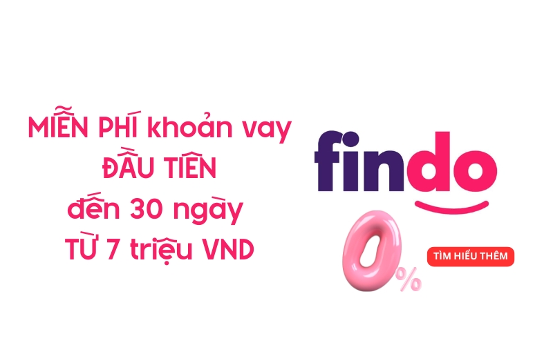 vay findo