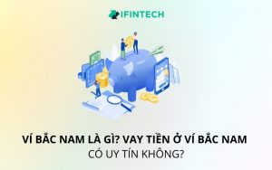 ví bắc nam là gì