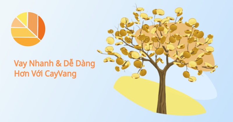 sản phẩm vay tại cayvang