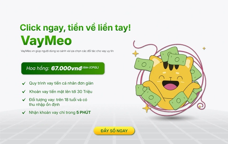 Vaymeo VN là gì