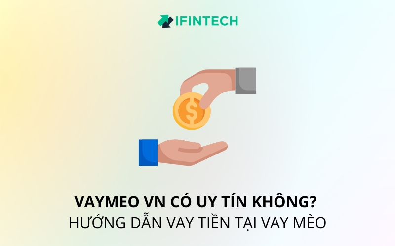 vaymeo vn là gì