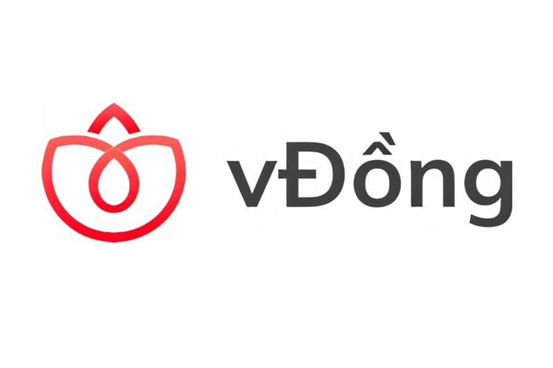 vay vđồng là gì