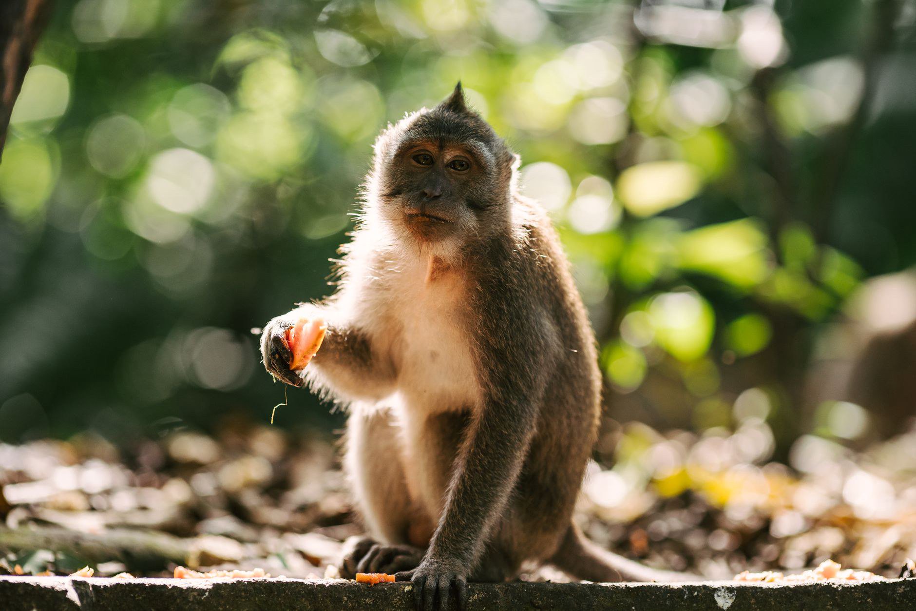 Nhóm 2: Affiliate marketing – hoa hồng có thật, nhưng phải có kênh trước Nhóm 2: Affiliate marketing – hoa hồng có thật, nhưng phải có kênh trước